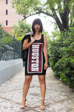 Ladies all over elegant casual fitted print dress