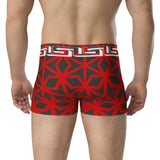Tampa Bay Themed Designer Gym Fit Boxer Briefs by ThatXpression